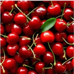 Cosmedix Rescue -Care Products Store RescueWithCherryExtractBalmMask 50g cosmedix repair restore cosmedix 703870 620x 9f6819af 8ac9 46fc b36b 1d9ffc0f1af0