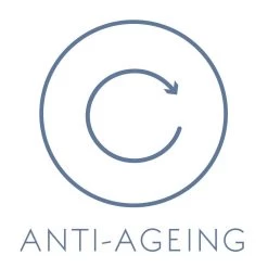 Dr Spiller Celltresor Overnight Repair Mask 7 Dr Spiller Celltresor Overnight Repair Mask -Care Products Store anti ageing dr spillerDrSpillerCelltresorOvernightRepairMask