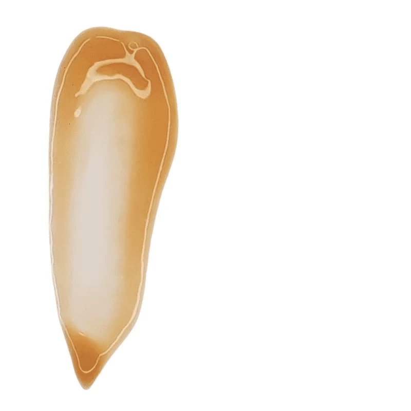 Aspect Pigment Punch+ 2 Aspect Pigment Punch+ - Image 2