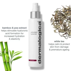 Dermalogica Antioxidant Hydramist -Care Products Store dermalogica antioxidant mist