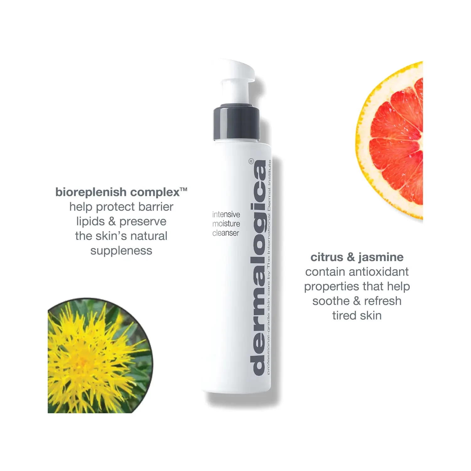 Dermalogica Intensive Moisture Cleanser 5 Dermalogica Intensive Moisture Cleanser - Image 5
