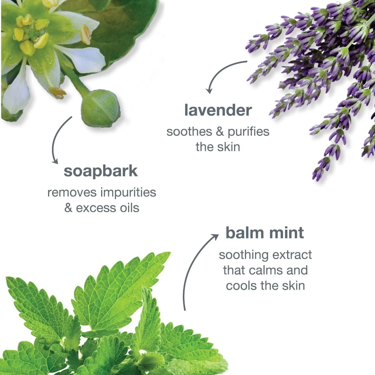 Dermalogica Special Cleansing Gel 4 Dermalogica Special Cleansing Gel - Image 4