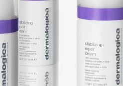 Dermalogica Stabilizing Repair Cream -Care Products Store dermalogica stabilizing repair cream with ceramides