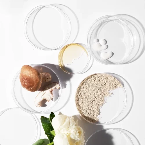 Dermalogica Powerbright Dark Spot Serum 11 Dermalogica Powerbright Dark Spot Serum - Image 11